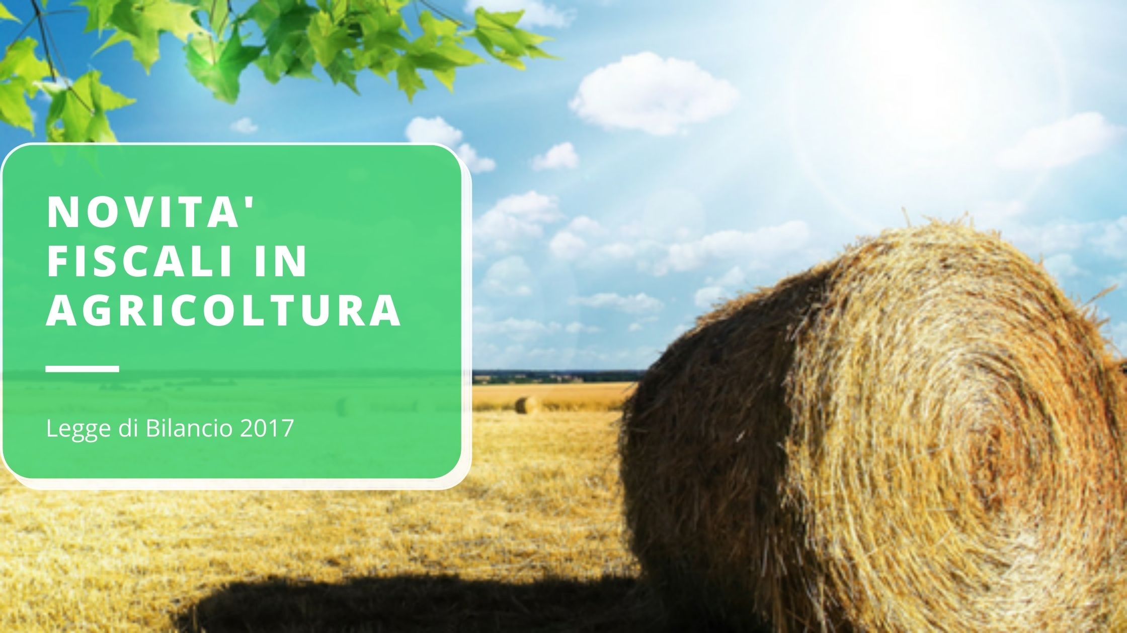 novit-fiscali-in-agricoltura-con-la-legge-di-bilancio-2017